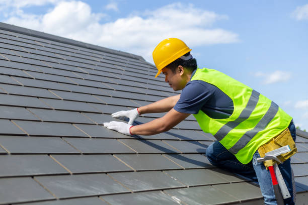 Residential Roof Replacement in Citrus Park, FL