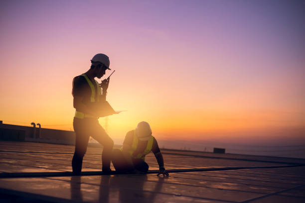 Best Flat Roof Repair Services  in Citrus Park, FL