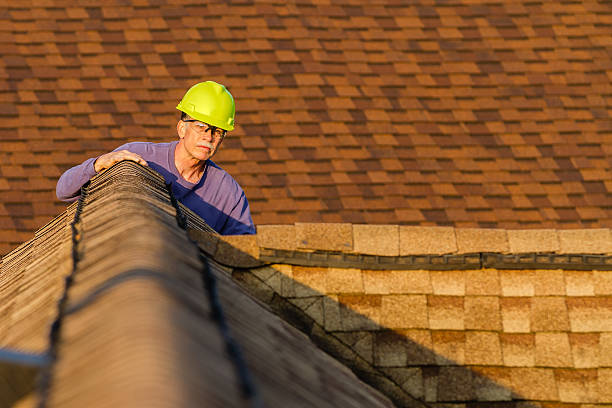 Best Residential Roof Replacement  in Citrus Park, FL