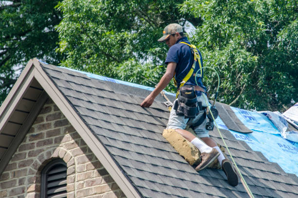 Tile Roofing Contractor in Citrus Park, FL